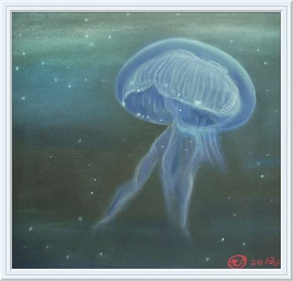 jellyfish框-2